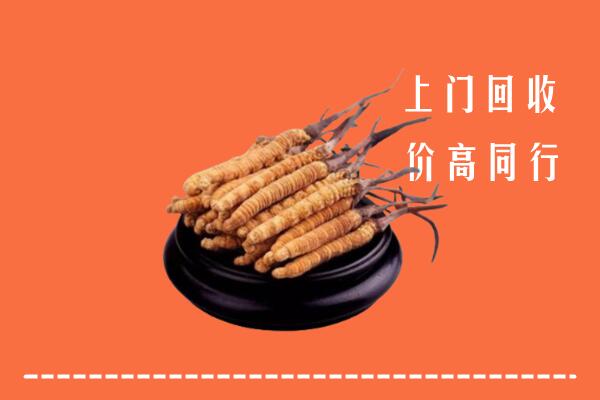 高价求购：平顶山回收散虫草