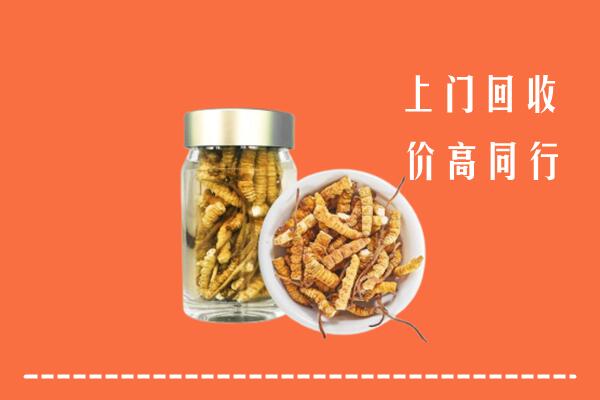 平顶山回收冬虫夏草